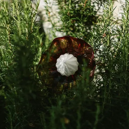 L'echappee Belle Welness Et Table D'hotes 3* Фалаен