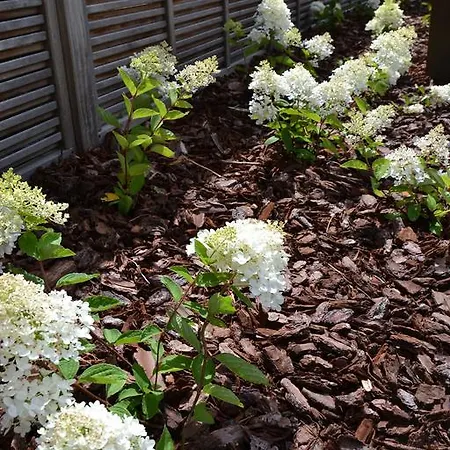 ベッド・アンド・ブレックファスト L'echappee Belle Welness Et Table D'hotes