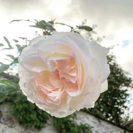 L'echappee Belle Welness Et Table D'hotes